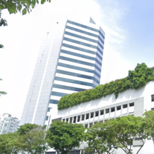 Future Leaders Lab: mini-MBA