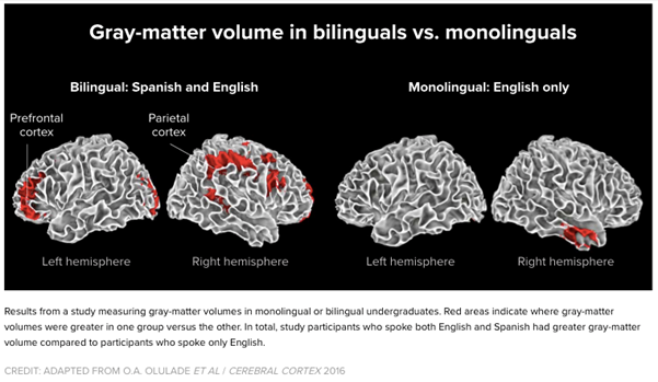 Westbourne Learn Languages.png